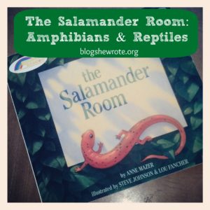 salamander-2-1