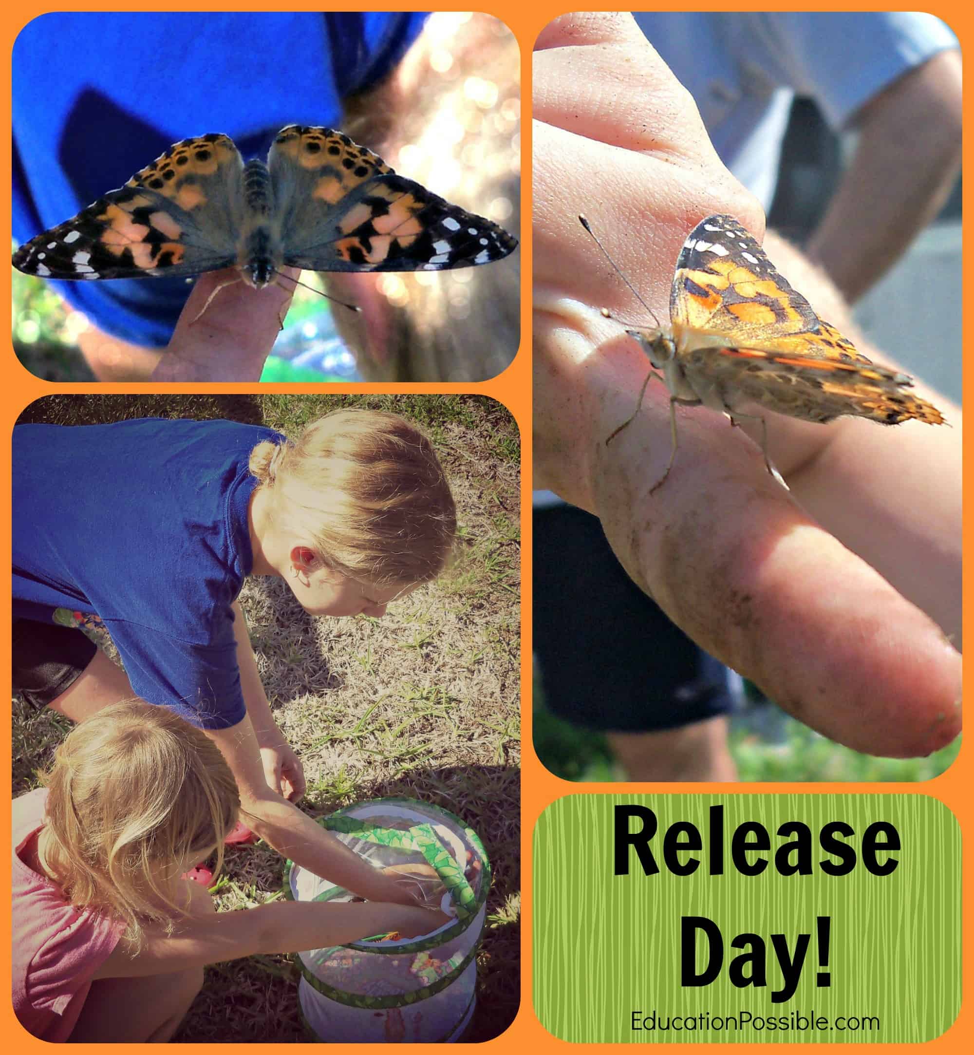 Hands-On Science: Raising Butterflies Education Possible