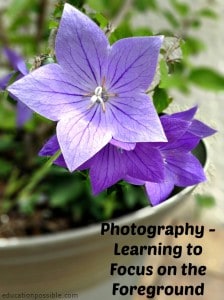 Learning photography through a virtual school education possible