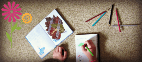Girl drawing flowers in a nature journal. Another book has dried leaves taped inside.