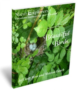 Mock up of the front of the Beautiful Birds book - homeschool curriculum