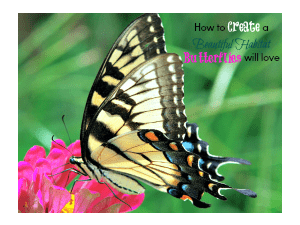 How to Create a Beautiful Habitat Butterflies will Love