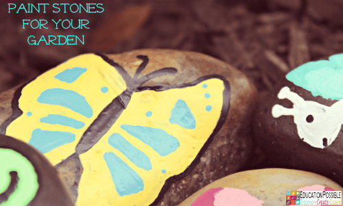 How to Create a Beautiful Habitat Butterflies will Love @Education Possible