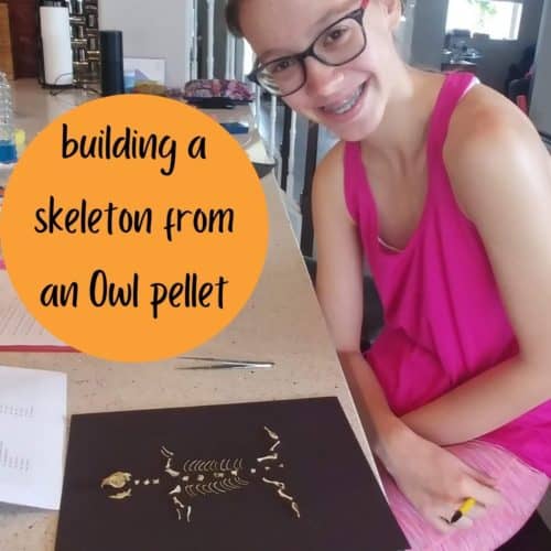 Teen girl smiling just put together a skeleton from an Owl pellet on black construction paper.