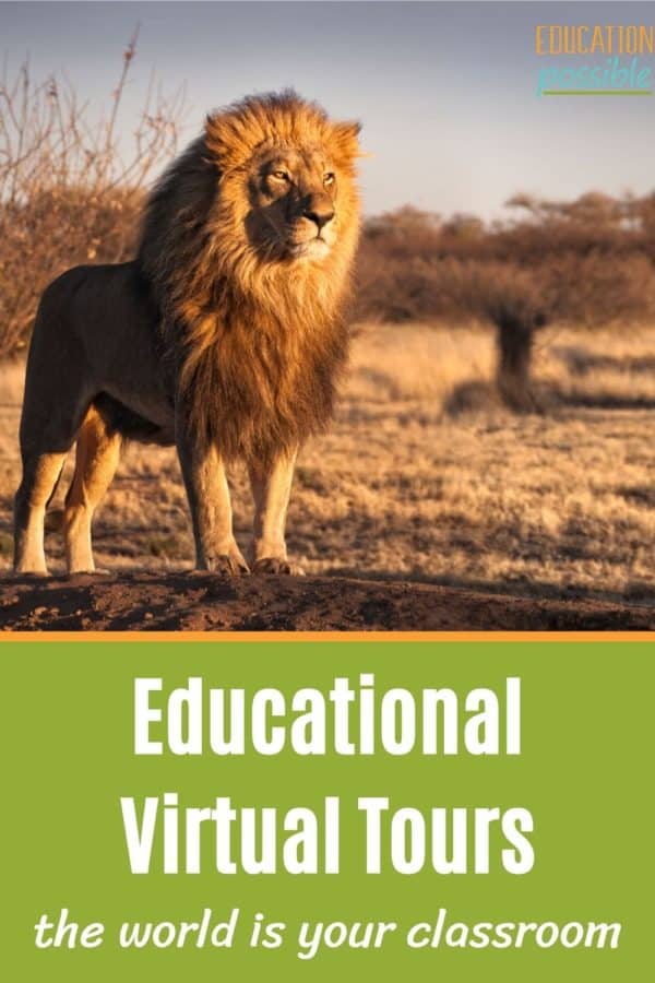 Educational Virtual Field Trips for Middle School