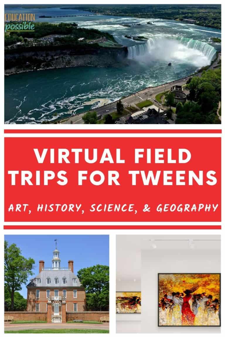 Educational Virtual Field Trips for Middle School