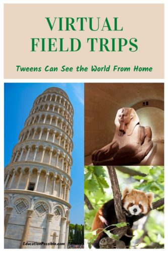 Collage of three images for virtual field trips. The left one is the Tower of Pisa. On the top right is a sphinx inside a tomb. Bottom right is a red panda sitting on a tree branch.