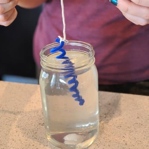 Submerging coiled blue pipe cleaner in water inside large mason jar