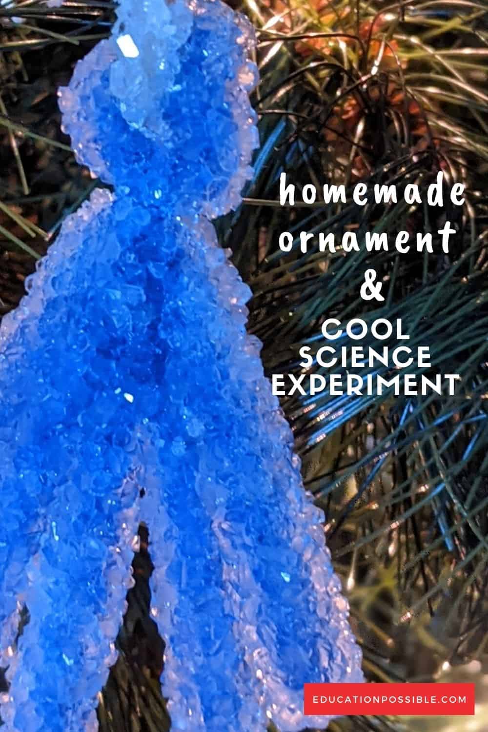 Blue borax crystal homemade ornament hanging on Christmas tree.