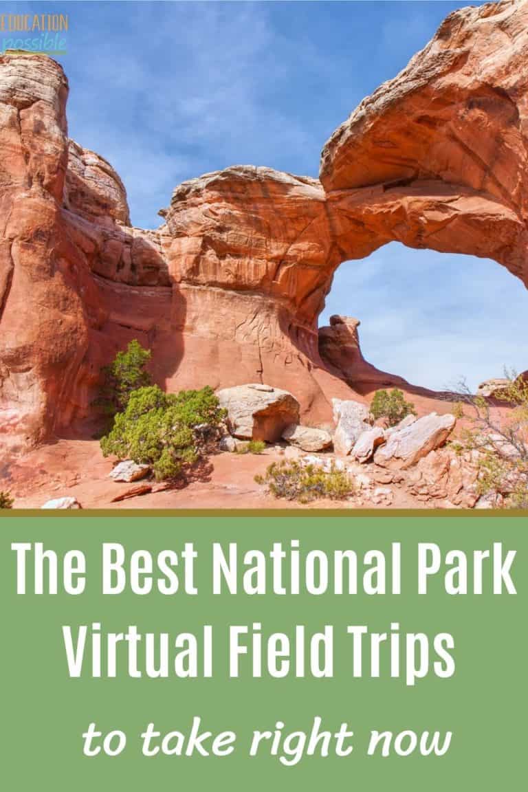 The Best National Park Virtual Field Trips to Take Right Now