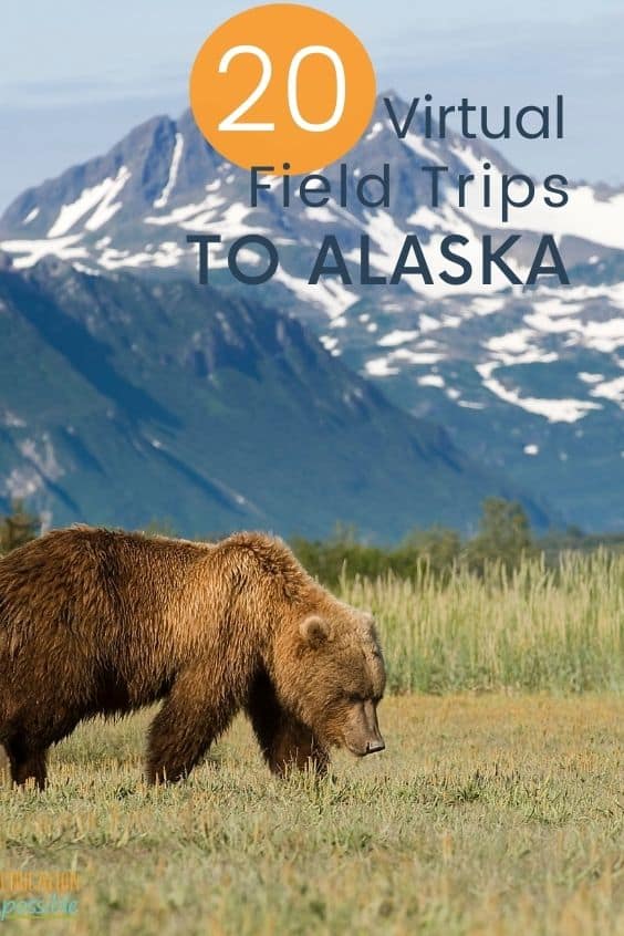20+ Alaska Virtual Field Trips That Tweens Will Love