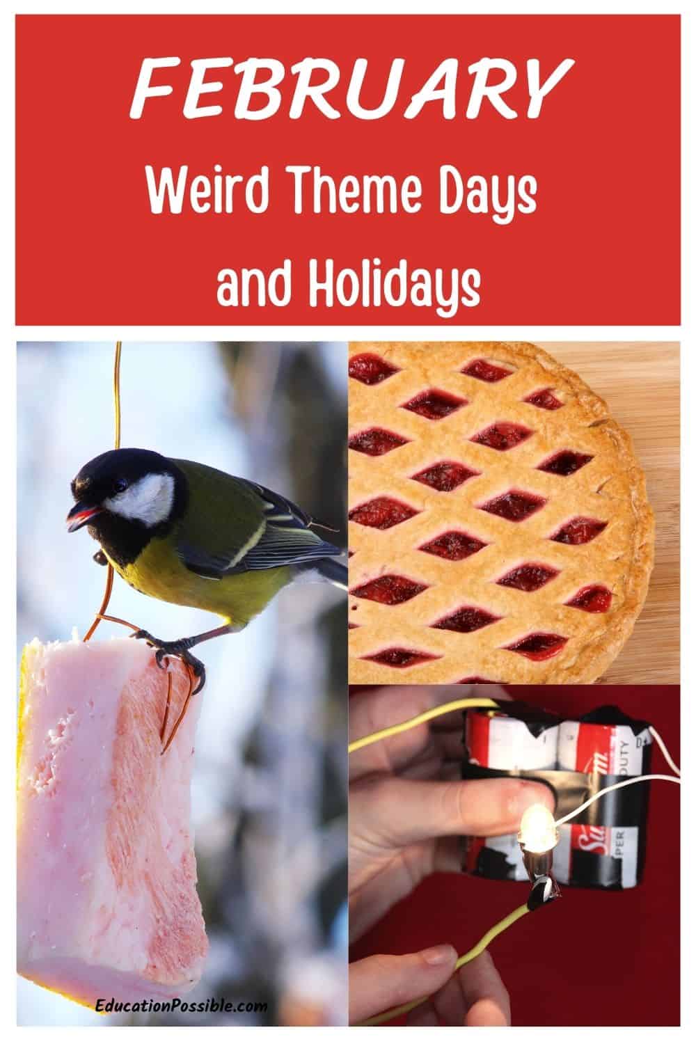 Collage of 3 images. Cherry pie, bird eating hanging fruit, batteries powering small light.