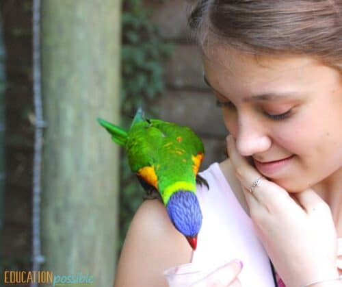 Teen girl with small colorful bird on shoulder, feeding it in an aviary.
