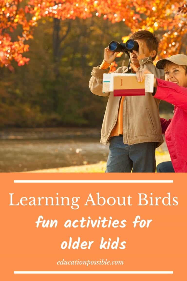 Engaging Ideas For Teaching Kids About Birds