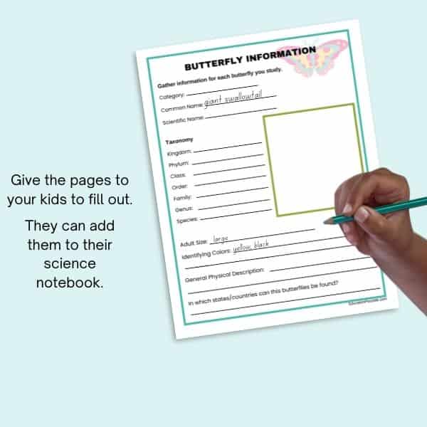 Image of child's hand holding a pencil, filling out a butterfly information page.
