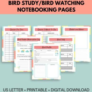 Six printable sheets for a bird study.