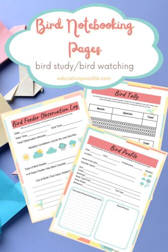 Three printable bird worksheets for a bird science study.
