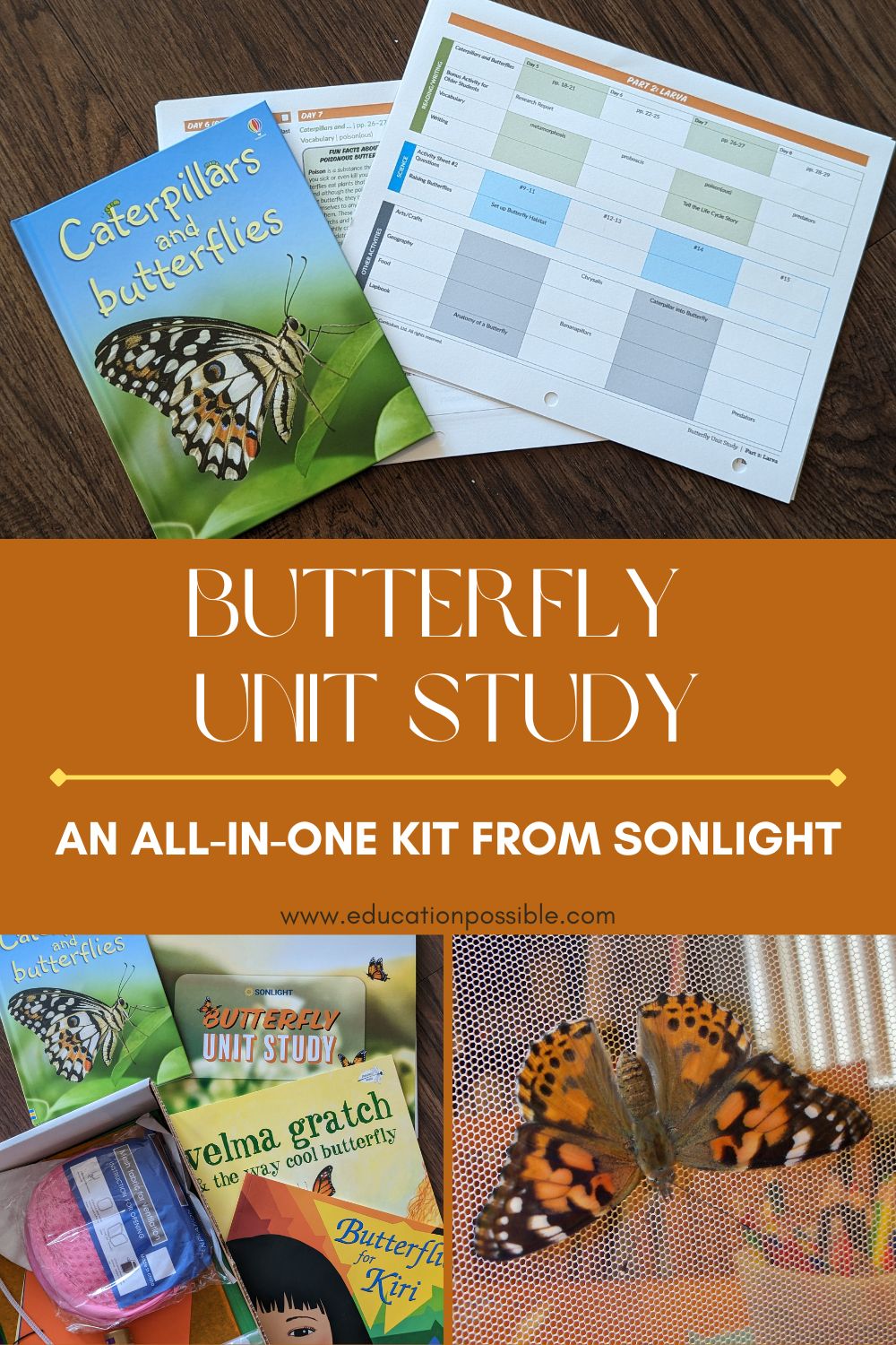 Collage of images from a butterfly unit study. Lesson plan, books, whole kit supplies, and butterfly on mesh.